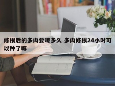 修根后的多肉要晾多久 多肉修根24小时可以种了嘛