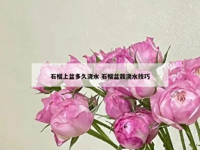石榴上盆多久浇水 石榴盆栽浇水技巧