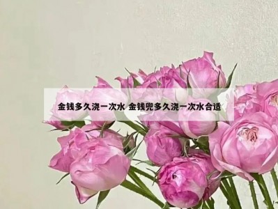 金钱多久浇一次水 金钱兜多久浇一次水合适