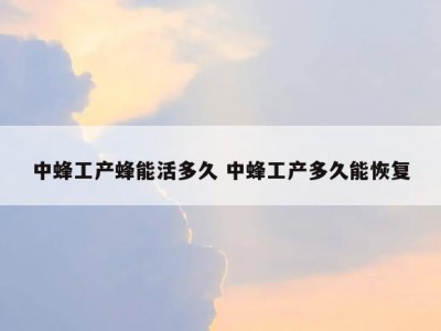 中蜂工产蜂能活多久 中蜂工产多久能恢复