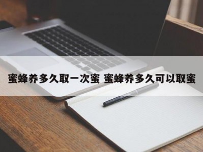 蜜蜂养多久取一次蜜 蜜蜂养多久可以取蜜