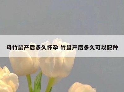 母竹鼠产后多久怀孕 竹鼠产后多久可以配种