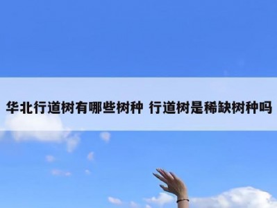 华北行道树有哪些树种 行道树是稀缺树种吗
