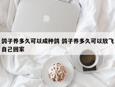 鸽子养多久可以成种鸽 鸽子养多久可以放飞自己回家
