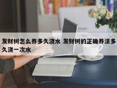 发财树怎么养多久浇水 发财树的正确养法多久浇一次水