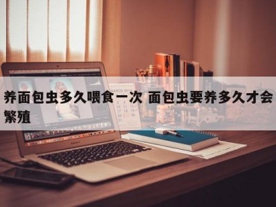 养面包虫多久喂食一次 面包虫要养多久才会繁殖
