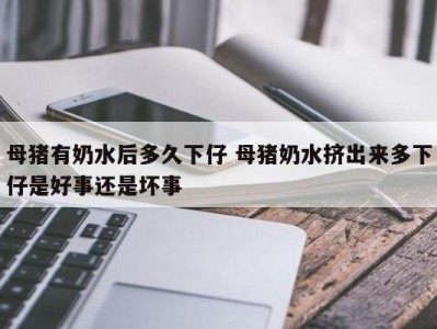 母猪有奶水后多久下仔 母猪奶水挤出来多下仔是好事还是坏事