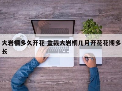 大岩桐多久开花 盆栽大岩桐几月开花花期多长