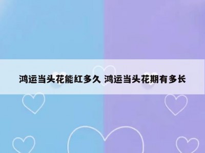 鸿运当头花能红多久 鸿运当头花期有多长