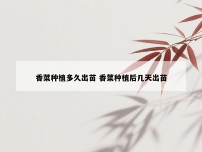 香菜种植多久出苗 香菜种植后几天出苗