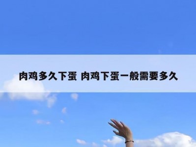 肉鸡多久下蛋 肉鸡下蛋一般需要多久