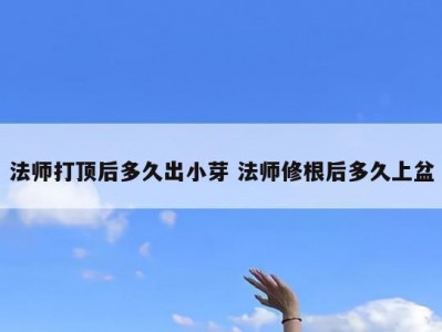 法师打顶后多久出小芽 法师修根后多久上盆