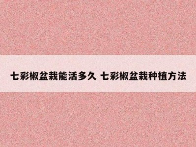 七彩椒盆栽能活多久 七彩椒盆栽种植方法