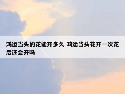 鸿运当头的花能开多久 鸿运当头花开一次花后还会开吗