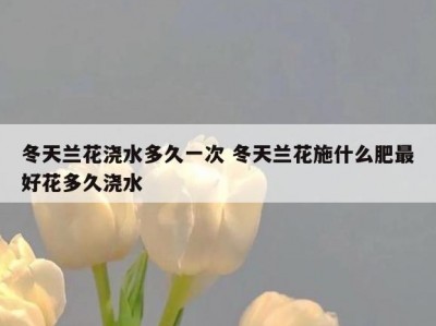 冬天兰花浇水多久一次 冬天兰花施什么肥最好花多久浇水