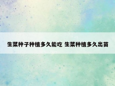 生菜种子种植多久能吃 生菜种植多久出苗