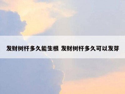 发财树杆多久能生根 发财树杆多久可以发芽