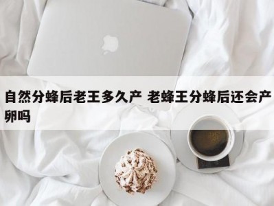 自然分蜂后老王多久产 老蜂王分蜂后还会产卵吗