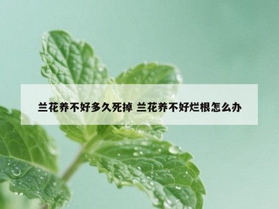 兰花养不好多久死掉 兰花养不好烂根怎么办