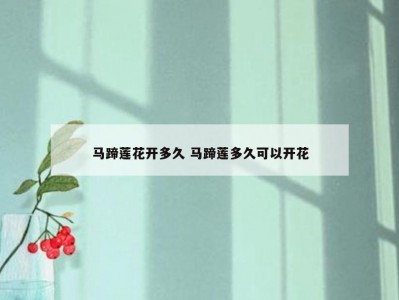 马蹄莲花开多久 马蹄莲多久可以开花