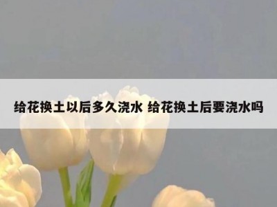 给花换土以后多久浇水 给花换土后要浇水吗