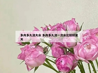 多肉多久浇大水 多肉多久浇一次水比较好夏天