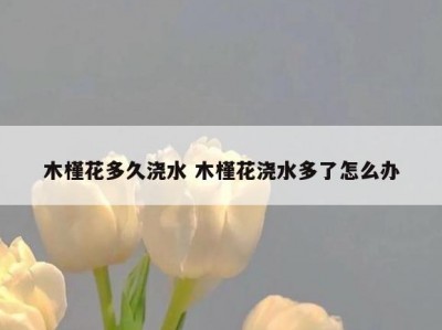 木槿花多久浇水 木槿花浇水多了怎么办