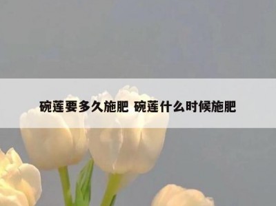 碗莲要多久施肥 碗莲什么时候施肥