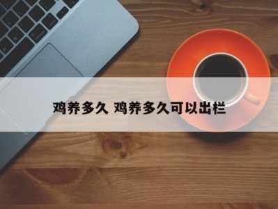 鸡养多久 鸡养多久可以出栏