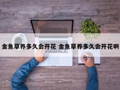 金鱼草养多久会开花 金鱼草养多久会开花啊