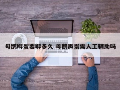 母鹅孵蛋要孵多久 母鹅孵蛋需人工辅助吗