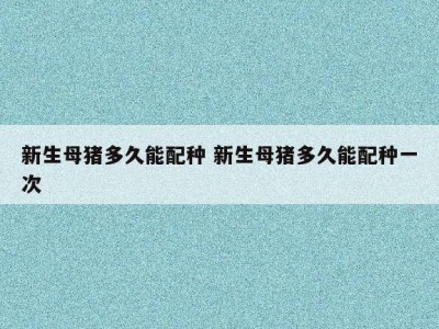 新生母猪多久能配种 新生母猪多久能配种一次
