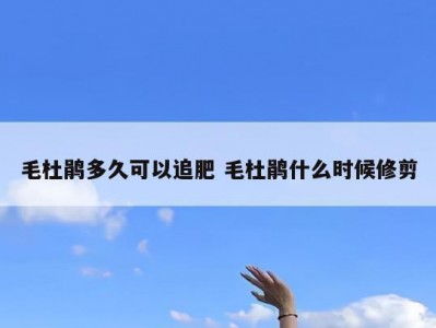 毛杜鹃多久可以追肥 毛杜鹃什么时候修剪