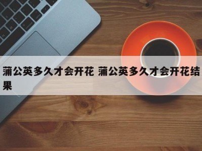 蒲公英多久才会开花 蒲公英多久才会开花结果