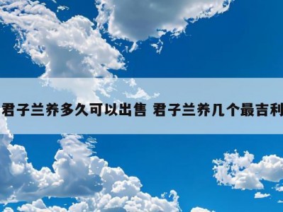 君子兰养多久可以出售 君子兰养几个最吉利