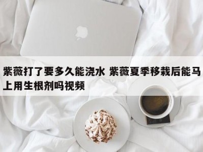 紫薇打了要多久能浇水 紫薇夏季移栽后能马上用生根剂吗视频