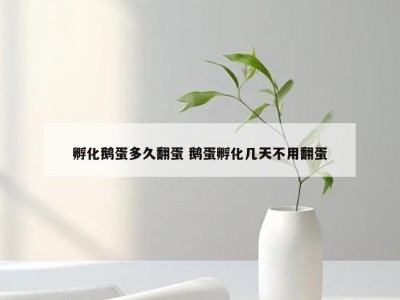 孵化鹅蛋多久翻蛋 鹅蛋孵化几天不用翻蛋