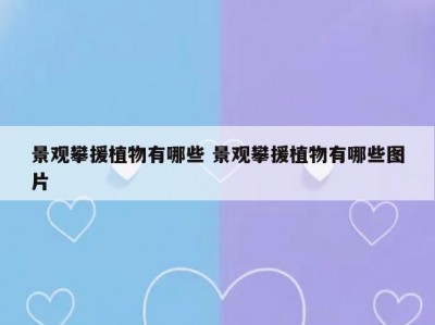 景观攀援植物有哪些 景观攀援植物有哪些图片