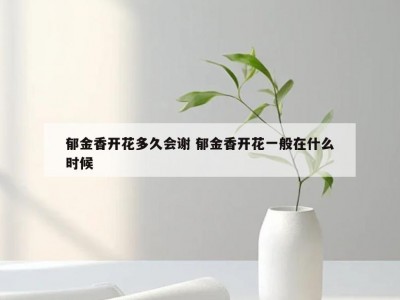 郁金香开花多久会谢 郁金香开花一般在什么时候