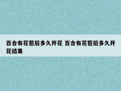 百合有花苞后多久开花 百合有花苞后多久开花结果