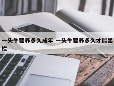 一头牛要养多久成年 一头牛要养多久才能出栏
