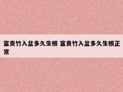 富贵竹入盆多久生根 富贵竹入盆多久生根正常