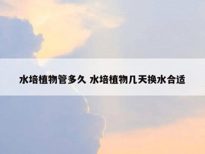 水培植物管多久 水培植物几天换水合适