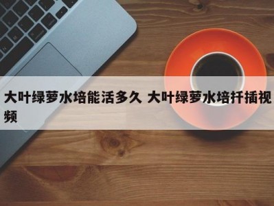 大叶绿萝水培能活多久 大叶绿萝水培扦插视频