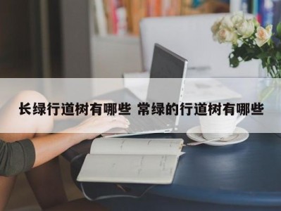 长绿行道树有哪些 常绿的行道树有哪些