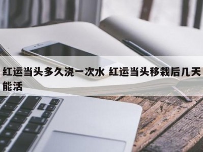 红运当头多久浇一次水 红运当头移栽后几天能活