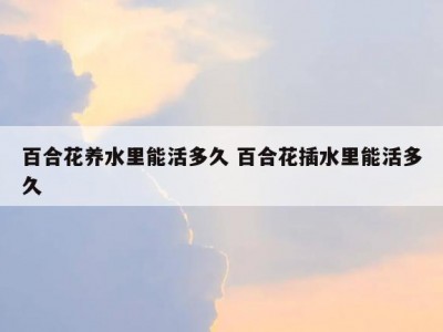 百合花养水里能活多久 百合花插水里能活多久
