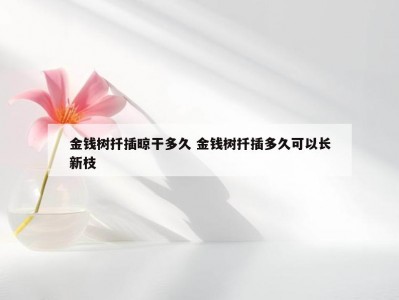 金钱树扦插晾干多久 金钱树扦插多久可以长新枝