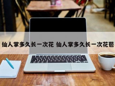 仙人掌多久长一次花 仙人掌多久长一次花苞