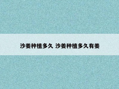 沙姜种植多久 沙姜种植多久有姜